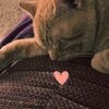 1loven0love